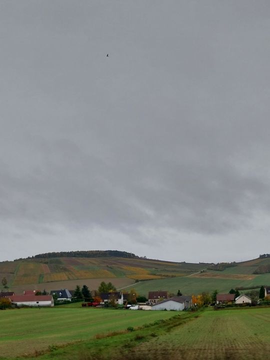 Les vignes autour de St Bris le Vineux Les vignes autour de St Bris le Vineux