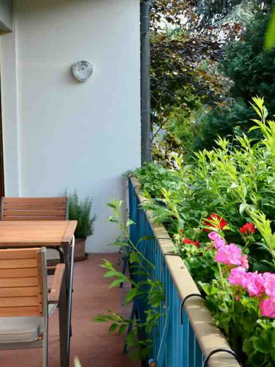 Le petit balcon Le petit balcon